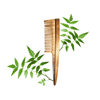 Neem wood Parlour Comb, Beige Unisexual